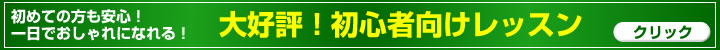初心者向けレッスン