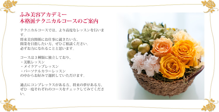 ӂݔeAJf~[@eNjJR[X
